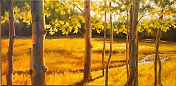 Aspen Glow 18” x 30” oil painting on canvas