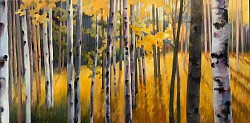 “Backlit Aspen” 18”x 30” oil painting on canvas