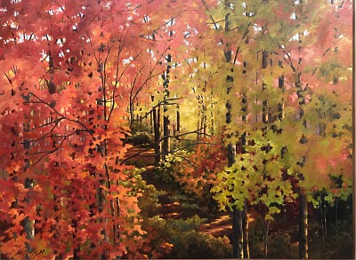 “Hawthorne Woods” 30”x 40” oil painting on canvas